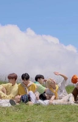 Менеджер "Stray kids"