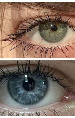 Моя судьба в твоих глазах 