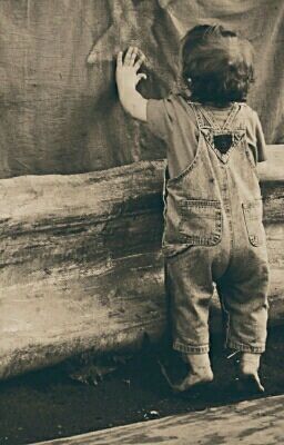 Жизнь Гермионы Гренджер.