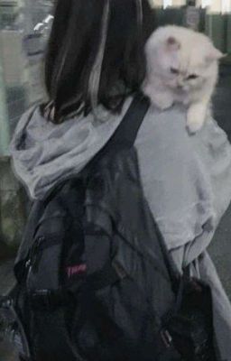 10 дней мучений.