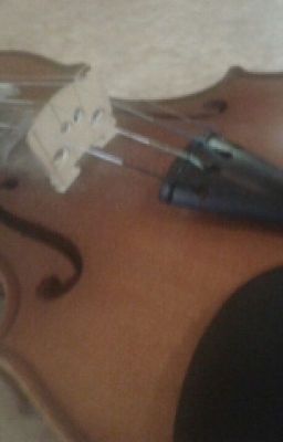 Приключения Ани и Вики