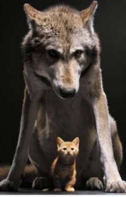 ОНА ...РРРРРРР....МОЯ!!!!!!