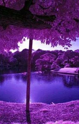 Преступление против правил🖤//18+