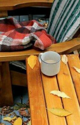 Встреча изменившая жизнь