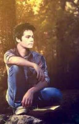 Волчонок. Стайлз Майклсон 