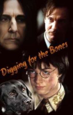 Digging for the Bones