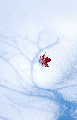 Последнее обещание