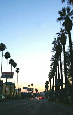 Дотянуться до небес