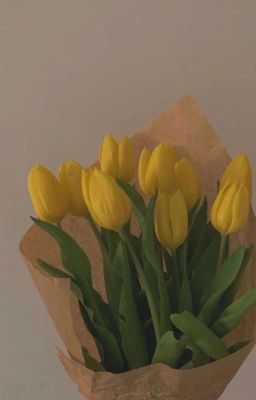 Жёлтый тюльпан для Эльвиры 