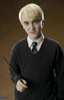 Draco Molfoy