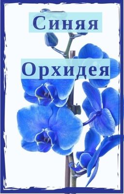 Синяя Орхидея
