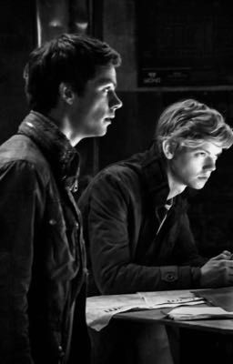 Звезда по имени Ньют.