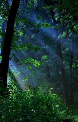 Сладкая боль 