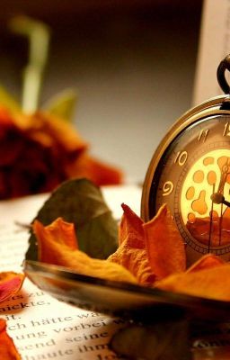 ~Путешествие в прошлое~