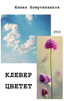 Клевер цветёт