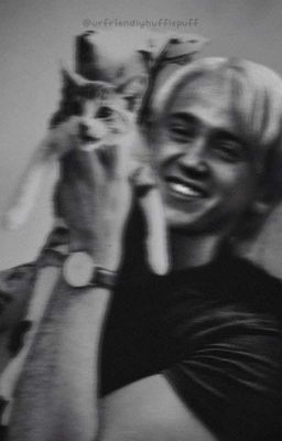 Драко Малфой - Безумная История.