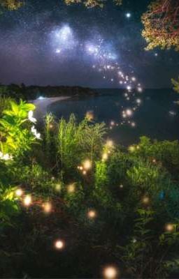 твоя сумасшедшая жизнь🌌🪄