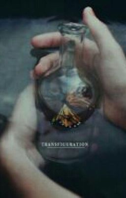 Драконы и не только