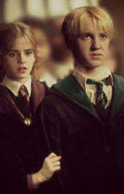 между светом и тенью