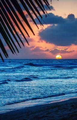 Сочинение «Я сижу на берегу...»