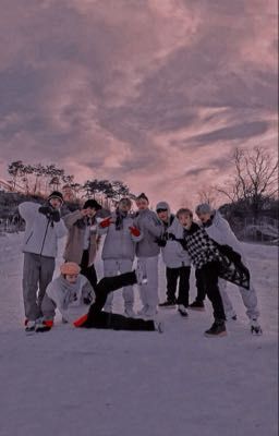 Stray kids и новая участница !!