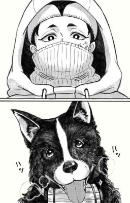 Реакции по "Повесть о Конце Света"