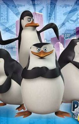 Пингвины из Мадагаскара: приключения не ждут