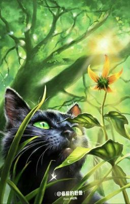 [Коты- воители] Одна жизнь на троих