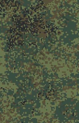 ИСТОРИИ С ВОЕНКИ