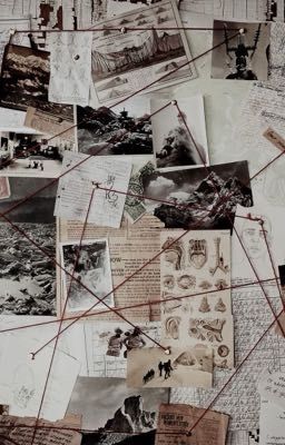 Ли Юри - женщина детектив 