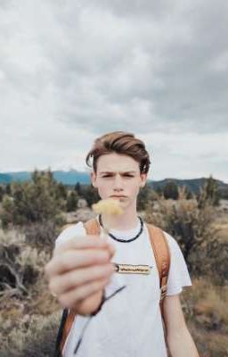 От не навести до любви