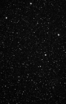 стокгольмский синдром