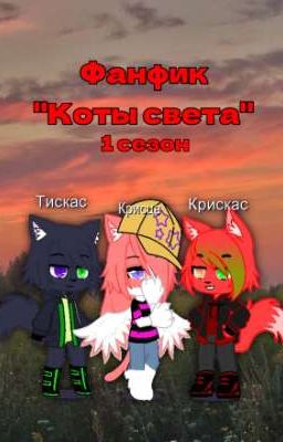 Фанфик "Коты света"