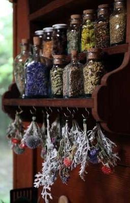 Дочь зельевара 💚