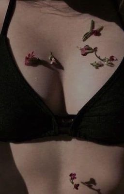 Любовь к Солнцу 