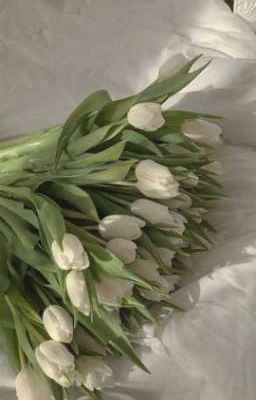 десять лет разлуки