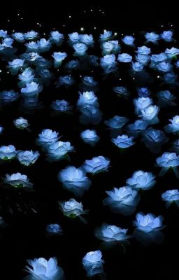 Магичиские Цветы (Изменëное название и аватарка Фф) 