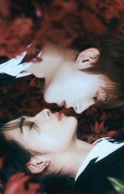 Лес связывает нас(Сонки)