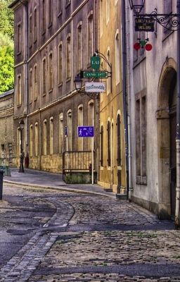 Непродуманное воровство