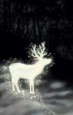 Любовь Супер-звезды