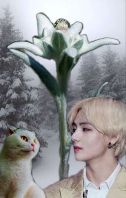 Эдельвейс: Зимняя сказка (завершён)