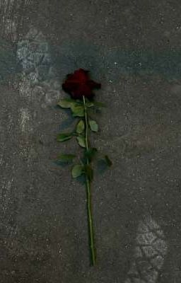 слезы на розы