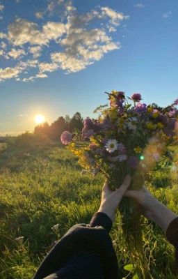 поезд в лето (Пиковару)