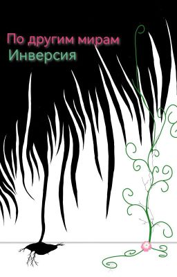 По другим мирам. Инверсия