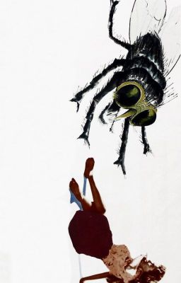 Шизофазия мух