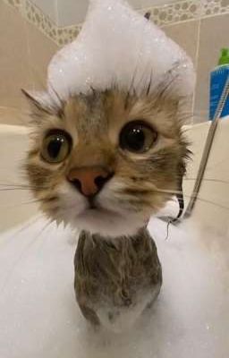 Кошмар-это попасть в другой мир с подругой. 