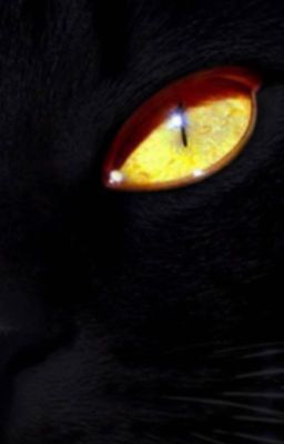 Ты будешь жить