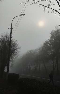 Человек Себе Не Друг