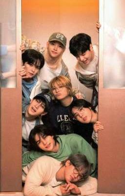 9 проблема Stray kids 