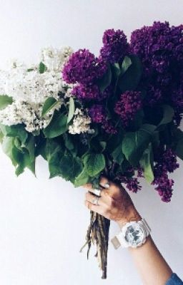 И.Бунин "Солнечный удар"